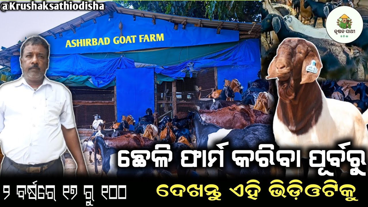 The one thing you need to know before starting a goat farm in Odisha
