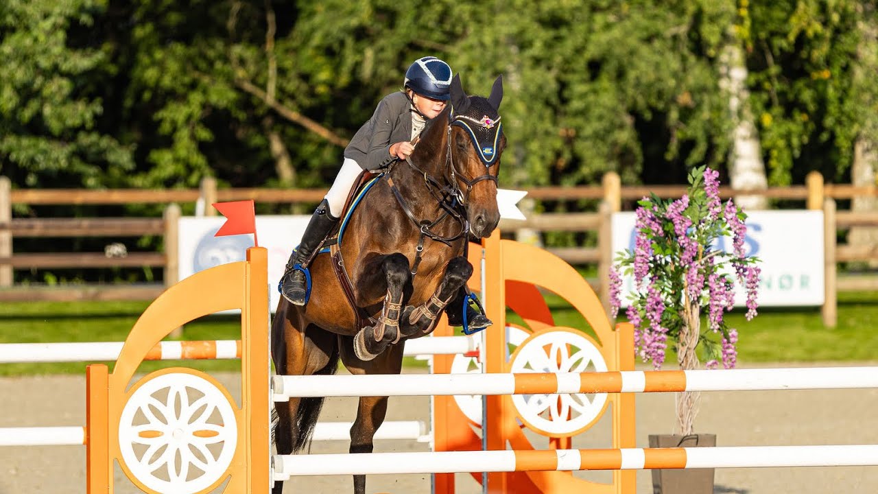 STALLVLOGG!!! Lexie rider ut och Hailey longerar Gullan🤪 - YouTube