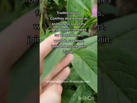 Videó: Comfrey. növényi alkalmazás