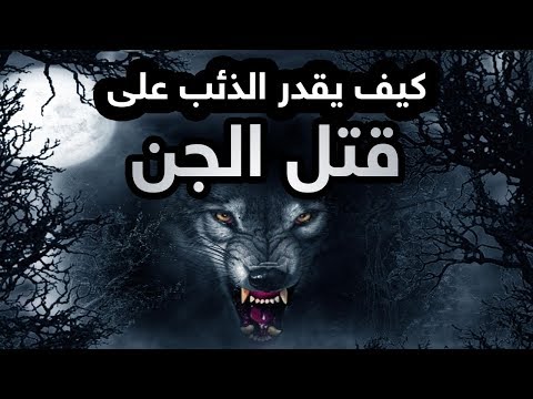 فيديو: في مازدا 6 لايت؟