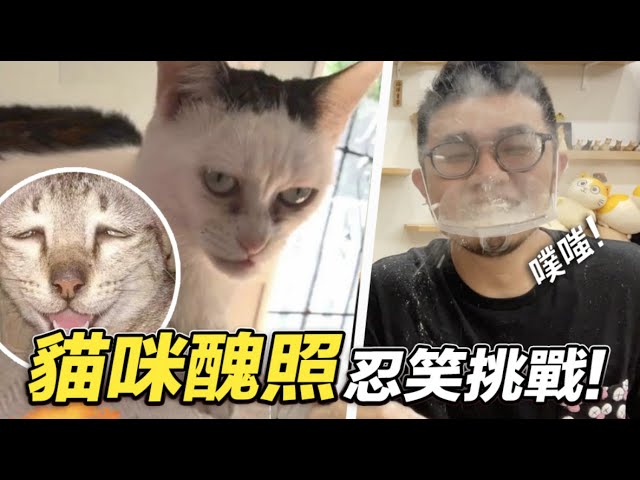 【貓咪醜照忍笑挑戰賽！笑了就噴麵粉！】志銘與狸貓
