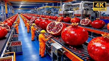 Inside the Modern Pomegranate Juice Factory! Pomegranates to Bottled Premium Juice! Full Process