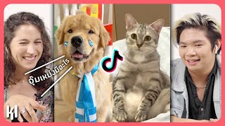 Foreigner Reacts to Thai Cute Famous Pets (Gluta Story, Japanandfriends etc.) | MaDooKi Reaction