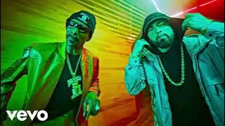 Snoop Dogg, Ice Cube & WC - back in the game ft. Dr. Dre, Nate Dogg | 2025