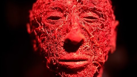 Human Anatomy Ch 20 Blood Vessels and Circulation P1