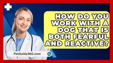 How Do You Work With A Dog That Is Both Fearful And Reactive? - PetGuide360.com