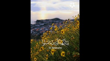حالات واتس اب يوم الجمعه //القارئ: أحمد النفيس