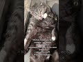 Я бы тебя подарил 😂
