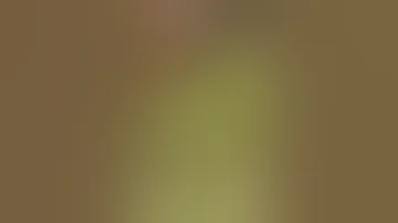 شاهدوا مذا تفعل الفرس عندما تصل مرحلة التزاوج 