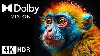 Dolby Vision Demo 4K Hdr 120Fps! Wonderful Nature.