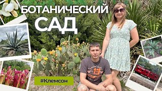 Ботанический сад Университет Клемсона Южная Каролина жизнь в США