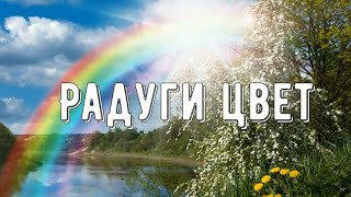 Радуги цвет