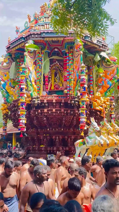 சந்நிதி முருகன் தேர்த்திருவிழா 2025 | Sannithi Murugan Ther Festival 2025