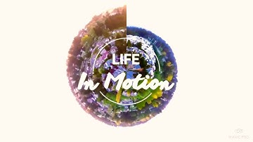 World 1st Tiny Planet Drone Video: LIFE IN MOTION