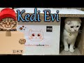 Adore Kedi Evi Nasıl Birleştirilir -:- Kurulum &amp; Montaj