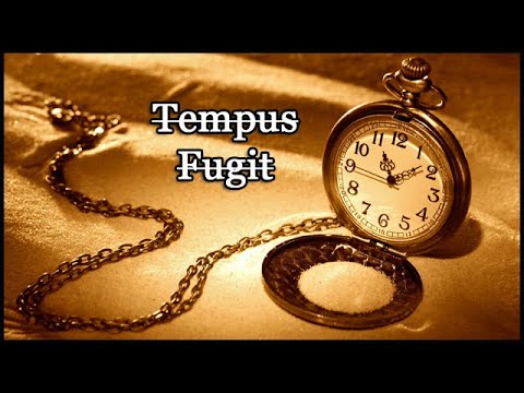 WEBSERIE (Tempus Fugit) - YouTube