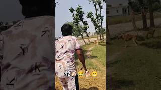 मै अकेला था उधर पूरी टीम थी 🐕😂 #funnyvideo #dogreaction #trending #viral #short