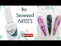 Bio Seaweed ARTIST'E // First Impression // Review  - Demo