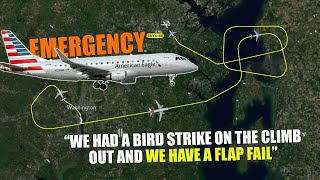 BIRD STRIKE CAUSES FLAP FAIL on takeoff from Washington-National Airport, DC