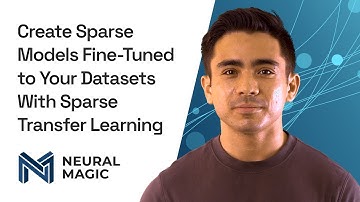 Use Sparse Transfer Learning to Create Sparse Models Fine-Tuned to Your Datasets
