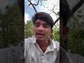 New Adivasi Short 🤣 Comedy Video Akky And Rakshu #viral #kingofbarwani