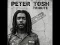Peter Tosh - No Justice, No Peace (The 1970s Sessions) The Full Militant Unreleased Album