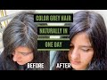 I Coloured my Grey Hair in 1 Day Naturally | Natural Black Hair Colour | Neha Chhabra Beauty Vlog