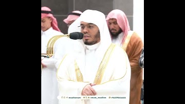 ﴿عَلى سُرُرٍ مَوضونَةٍ﴾ من سورة الواقعة بصوت الشيخ ياسر الدوسري