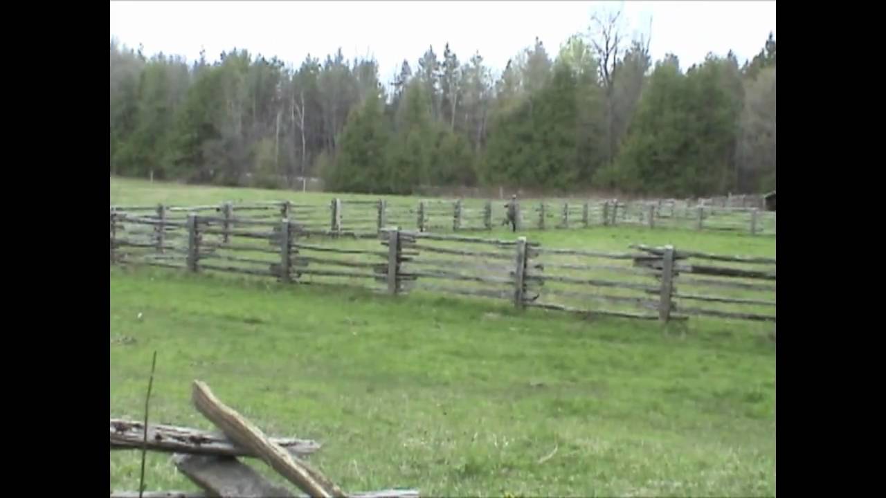 Battle of the Scheldt Part 1