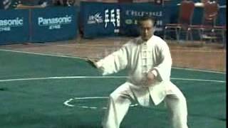 Yang Shi Taijiquan 37 Shi - Master Zhao Youbin (赵幼斌)