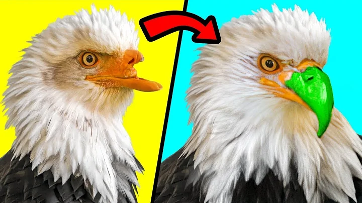 When 3D Printing Gives Animals A Second Chance