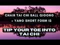 Chair Tai Chi Ball Qigong for Seniors | Gentle Balance &amp; Mobility Practice (Beginner Friendly)