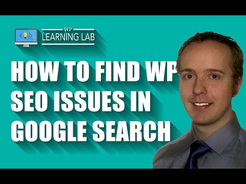 How To Check The Google Search Results For Potential WordPress SEO Issues | WP Learning Lab