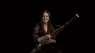 Instrument Bassoon Instrument Bassoon