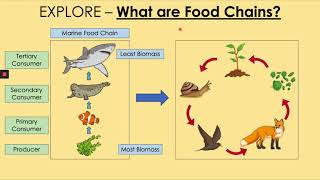 GCSE Living World 2: The Nutrient Cycle