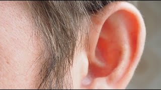 Science News - 3D-printed middle ear transplant apparently cures deafness