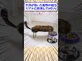 子供の絵を正確に描いた結果w（パレード）
