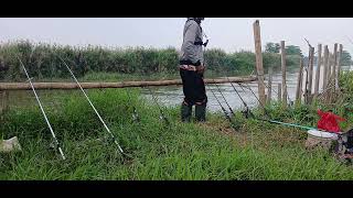 Mata Pancing, Mantap sekali Mancing di pintu muara, #memancing