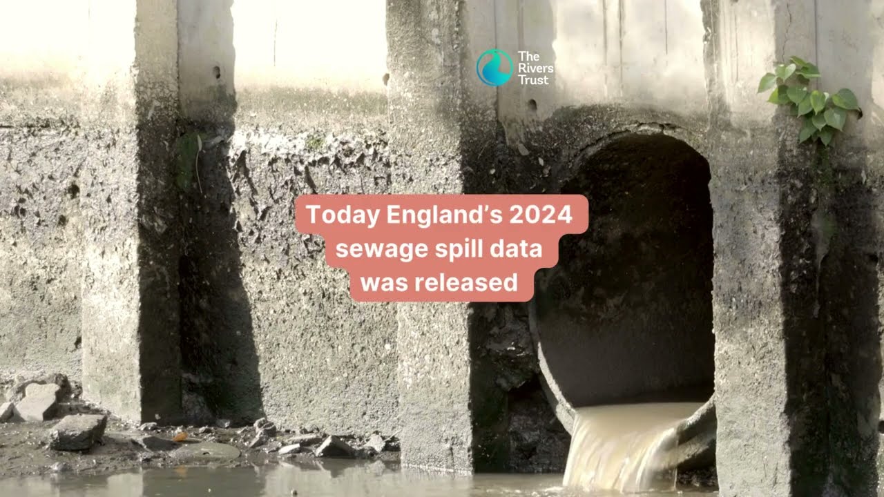 England's Sewage Spill 2024 Data