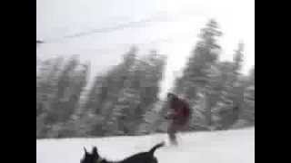 Pow Mission, May 6 2007