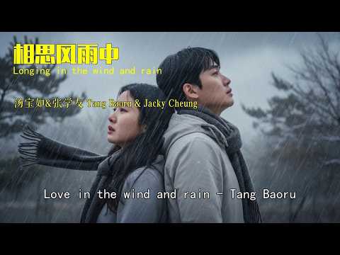 经典粤语对唱《相思风雨中》- 张学友/汤宝如
