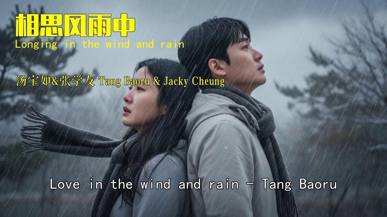 经典粤语对唱《相思风雨中》- 张学友/汤宝如