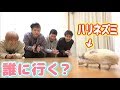 きょんくまペット Mp3