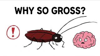 Why Cockroaches Disgust Us