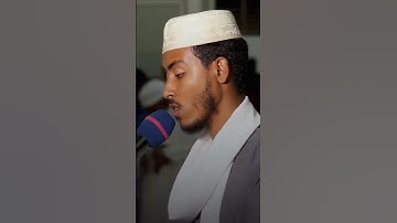 ما تيسر من سورة الأنعام #الاخوة_للانتاج_الفني #عفيف_محمد_تاج