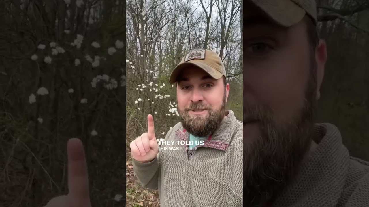 Plant Native This Year