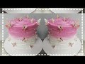 How to make a whipped cream cake and edible butterfly decorating //