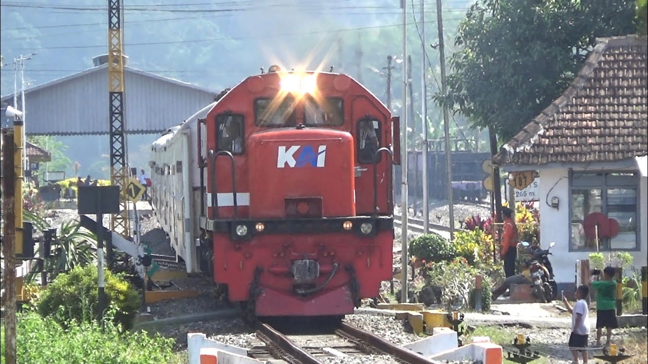 Kereta Api Online‼️Hunting di Perlintasan JPL 142 Jember. SKF