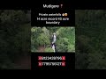 Property id 312 #mudigere #realestate #sale #sakleshpur #resort #landforsale