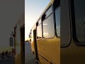 Ба Чемпионати Ҷаҳон Абу Даби 2023 байни наврасон #tajmmaf #immaf #мма